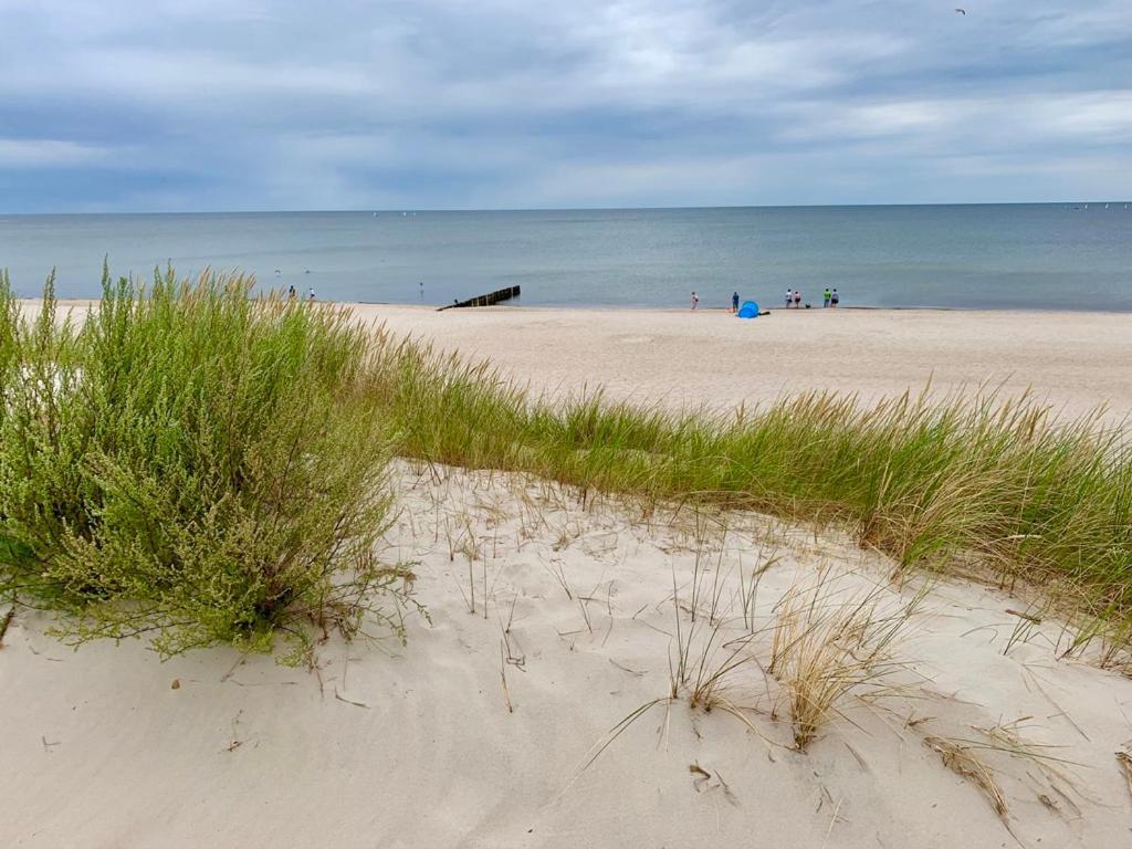 Wakacyjna Wioska Summerland Dziwnówek Exteriör bild